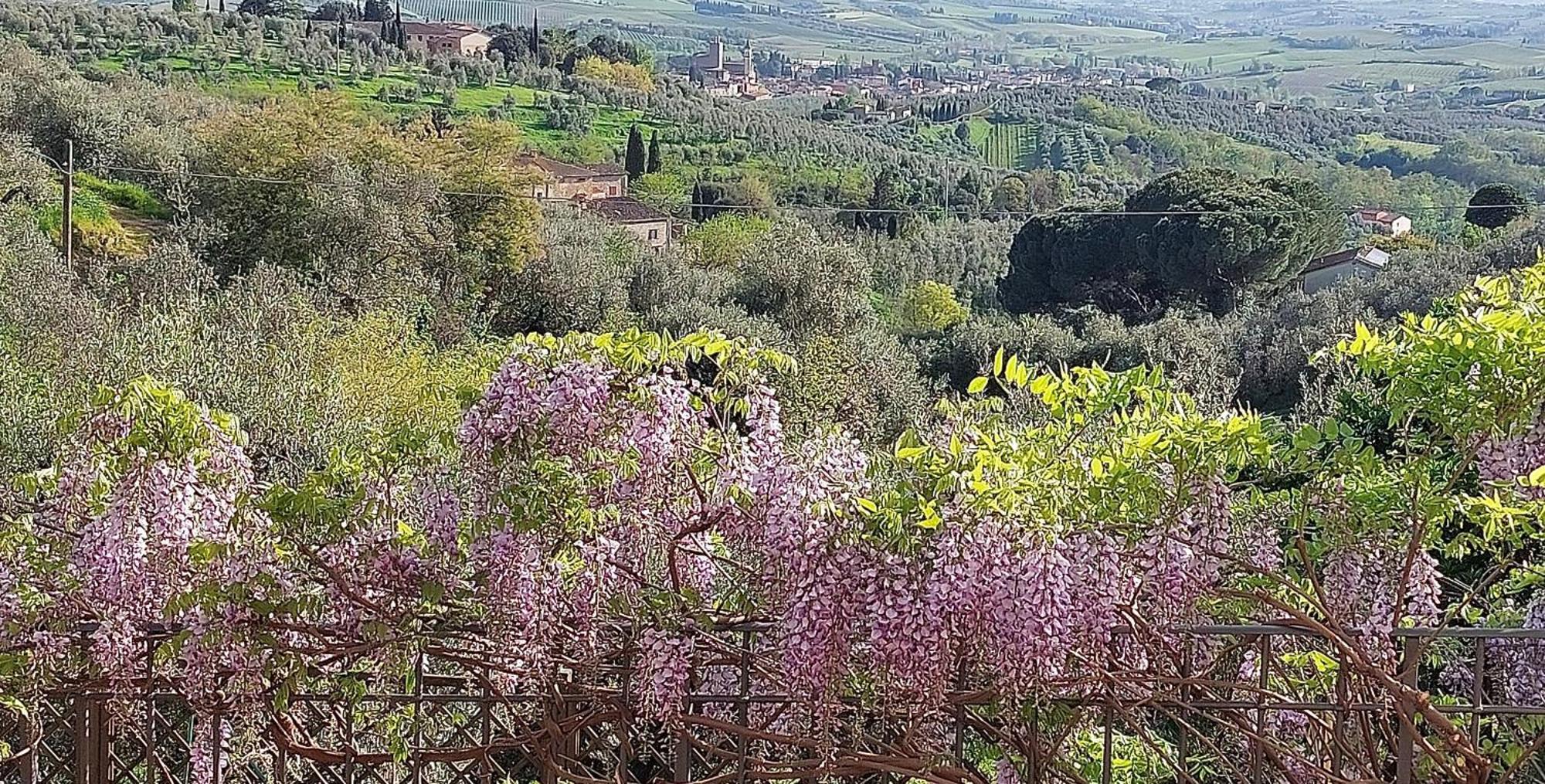 Appartamento La Dimora Di Leonardo-Vinci Esterno foto